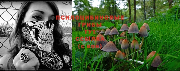 крисы Наволоки