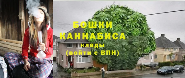 крисы Наволоки